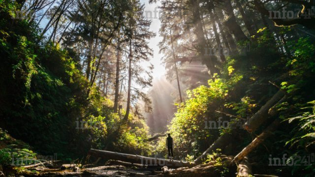 Makouké&nbsp;: Une mamie de 81 ans secourue après s’être égarée durant plusieurs heures en forêt 