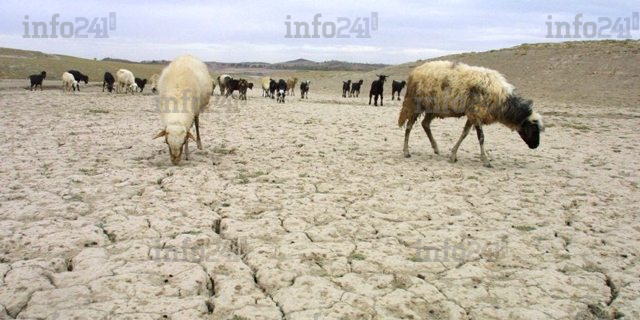 Maroc&nbsp;: le pays prend des mesures drastiques pour faire face à la crise de l’eau