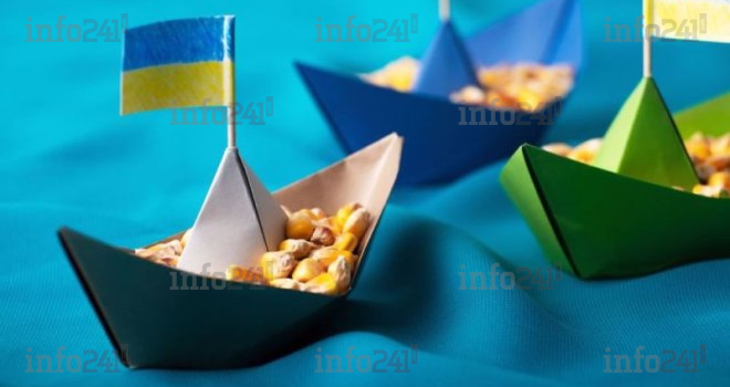 Accord céréalier russo-ukrainien&nbsp;: 32,8 millions de tonnes évacués vers 45 pays dont 12% en Afrique