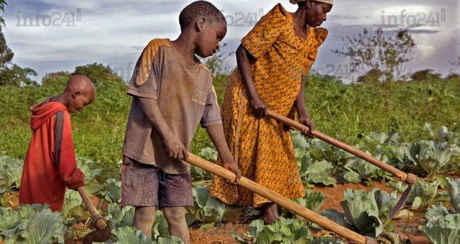 La BAD, l’IGD et Grow Africa co-organisent le premier forum «&nbsp;Leadership pour l’agriculture&nbsp;»