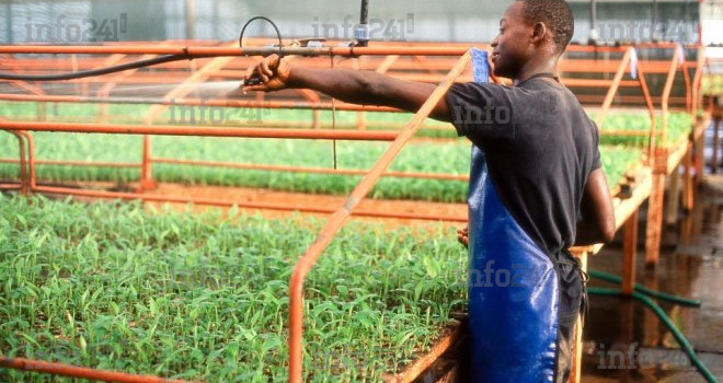 Assemblées annuelles en Inde, la BAD va honorer les jeunes agri-preneurs africains