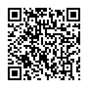 qrcode:https://info241.pro/un-vehicule-termine-sa-course-sous-un-pont-a-mouila,202