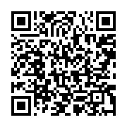 qrcode:https://info241.pro/rdc-un-avion-de-chasse-atteint-par-une-frappe-de-l-armee,1626