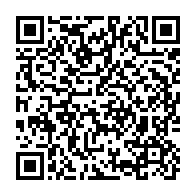 qrcode:https://info241.pro/tesla-rappelle-pres-d-un-demi-million-de-voitures-en-raison-de,1152