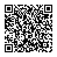 qrcode:https://info241.pro/l-avion-des-pantheres-du-gabon-pour-djouba-a-coute-pres-de-120,3938