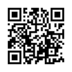 qrcode:https://info241.pro/corrections