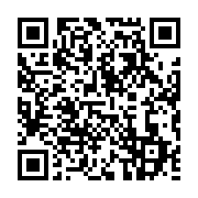 qrcode:https://info241.pro/chyc-polhit-il-est-important-que-les-artistes-gabonais,2447