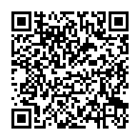 qrcode:https://info241.pro/mal-conseille-bricolage-constitutionnel-onanga-y-obegue-allume,11362