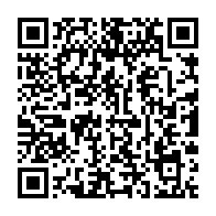 qrcode:https://info241.pro/essai-politique-raymond-ndong-sima-reve-d-un-renouveau-pour-le,787
