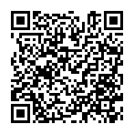 qrcode:https://info241.pro/exil-dore-des-bongo-l-union-africaine-eternel-syndicat-des-chefs,10381
