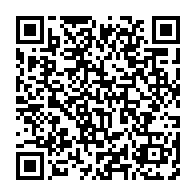 qrcode:https://info241.pro/crash-d-ethiopian-airlines-un-celebre-arbitre-gabonais-echappe,4273