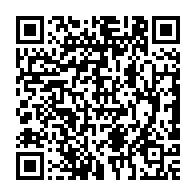 qrcode:https://info241.pro/vie-rurale-des-pachydermes-delogent-les-habitants-de-maloundou,384