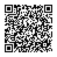 qrcode:https://info241.pro/makokou-attaques-par-un-elephant-deux-jeunes-gabonais-echappent,8418