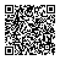qrcode:https://info241.pro/mayday-mayday-mayday-le-secteur-aerien-gabonais-ne-decolle-plus,2944