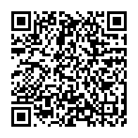 qrcode:https://info241.pro/mali-les-etats-unis-restituent-plus-de-900-objets-archeologiques,1116