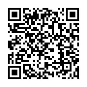 qrcode:https://info241.pro/pozzo-di-borgo-des-questions-et-encore-des-questions,3448
