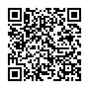 qrcode:https://info241.pro/guerre-en-ukraine-une-initiative-africaine-pour-instaurer-la,1737