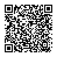 qrcode:https://info241.pro/gabon-reflexions-pre-electorales-sur-la-mascarade-en-preparation,8143