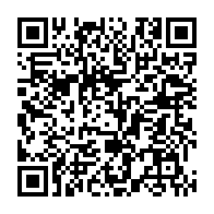 qrcode:https://info241.pro/legislatives-et-locales-2025-les-9-gendarmes-de-l-acer-enfin,10680