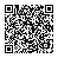 qrcode:https://info241.pro/niger-l-allemagne-evacue-son-ambassade-a-niamey-et-appelle-ses,2754