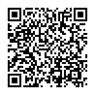 qrcode:https://info241.pro/intemperies-a-port-gentil-les-memes-causes-produisent-les-memes,6425