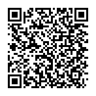 qrcode:https://info241.pro/gabon-africa-united-airlines-vole-au-secours-d-un-bebe-chimpanze,10795