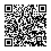 qrcode:https://info241.pro/ali-est-bete-selon-un-manifestant-pas-comme-les-autres,2177
