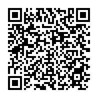 qrcode:https://info241.pro/mozambique-le-bilan-du-passage-du-cyclone-chido-s-alourdit-a-120,2251
