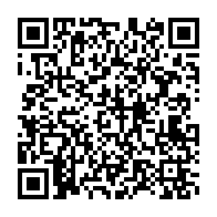 qrcode:https://info241.pro/niger-le-chef-de-la-garde-presidentielle-designe-nouvel-homme,1822