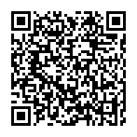 qrcode:https://info241.pro/demantelement-de-la-francafrique-francois-hollande-y-jouera-t-il,1061