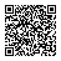 qrcode:https://info241.pro/crise-reagir-ndong-obiang-et-essono-ondo-desormais-dos-au-mur,10285