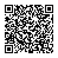 qrcode:https://info241.pro/le-pouvoir-emergent-pris-en-flagrant-deni-de-democratie-par-les,1101