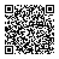 qrcode:https://info241.pro/la-team-man-mamboundou-refuse-de-filer-dans-l-udb-en-raison-de,10684