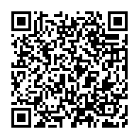 qrcode:https://info241.pro/brice-laccruche-alihanga-aux-bons-petits-soins-de-l-ambassade-de,4854