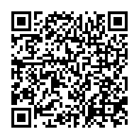 qrcode:https://info241.pro/rdc-le-principal-aeroport-du-pays-ferme-apres-la-sortie-de-piste,2055