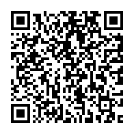qrcode:https://info241.pro/politiques-et-des-institutions-nationales-des-resultats-mitiges,1980