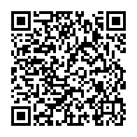 qrcode:https://info241.pro/niger-la-france-va-rapatrier-son-ambassadeur-et-ses-militaires,1877