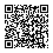 qrcode:https://info241.pro/niger-niamey-est-pret-a-restituer-a-paris-une-partie-de-l,2718