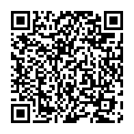 qrcode:https://info241.pro/les-pantheres-du-gabon-perturbees-par-un-orage-avant-leur-match,10128