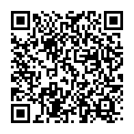 qrcode:https://info241.pro/suspension-du-trafic-ferroviaire-au-gabon-l-eau-andza-pourrait,1601