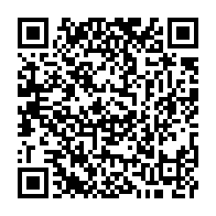 qrcode:https://info241.pro/pluie-rail-et-frayeur-un-train-de-marchandises-deraille-un-train,11119