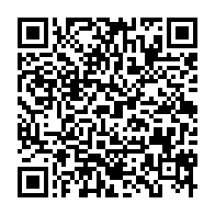 qrcode:https://info241.pro/financement-des-partis-politiques-ali-bongo-et-son-gouvernement,7282