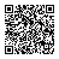 qrcode:https://info241.pro/la-diaspora-gabonaise-a-manifeste-pour-la-132e-fois-contre-le,4251
