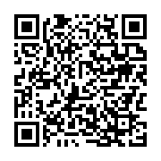 qrcode:https://info241.pro/gabon-les-failles-methodologiques-du-plan-national-de,11748
